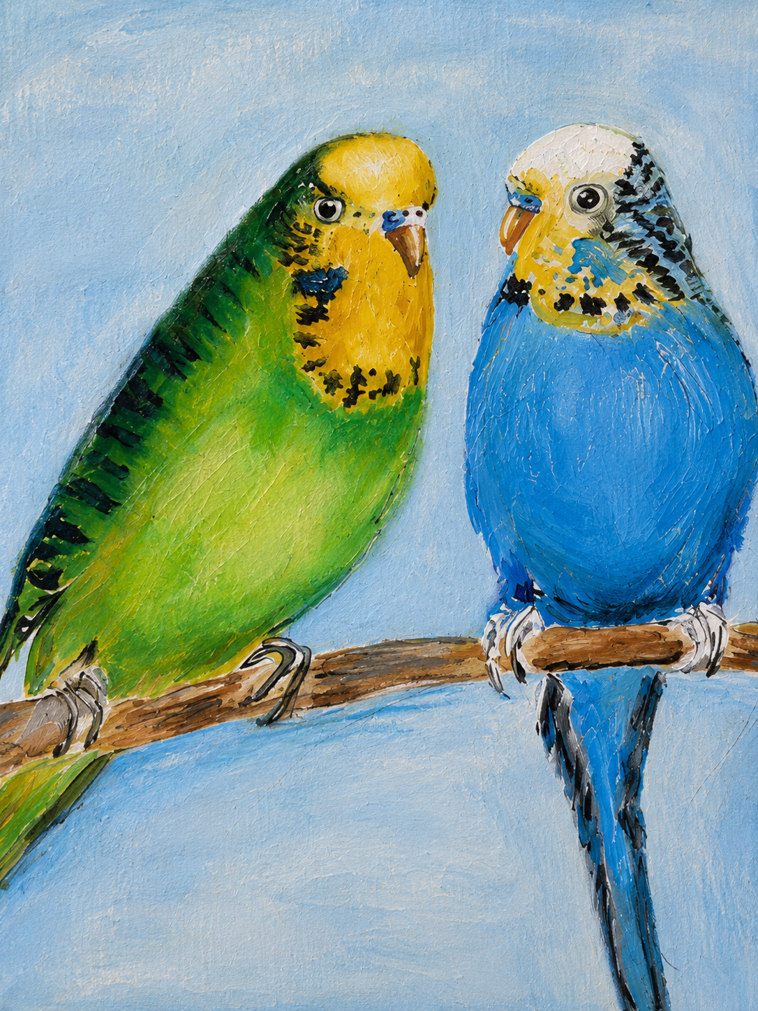 Jack and Joey - Two Sweet Budgerigars